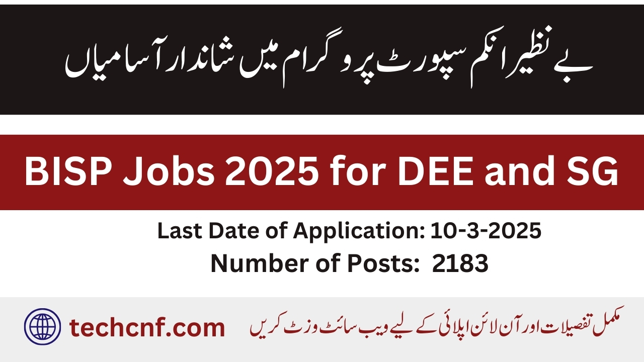 BISP Jobs 2025 for DEE and SG